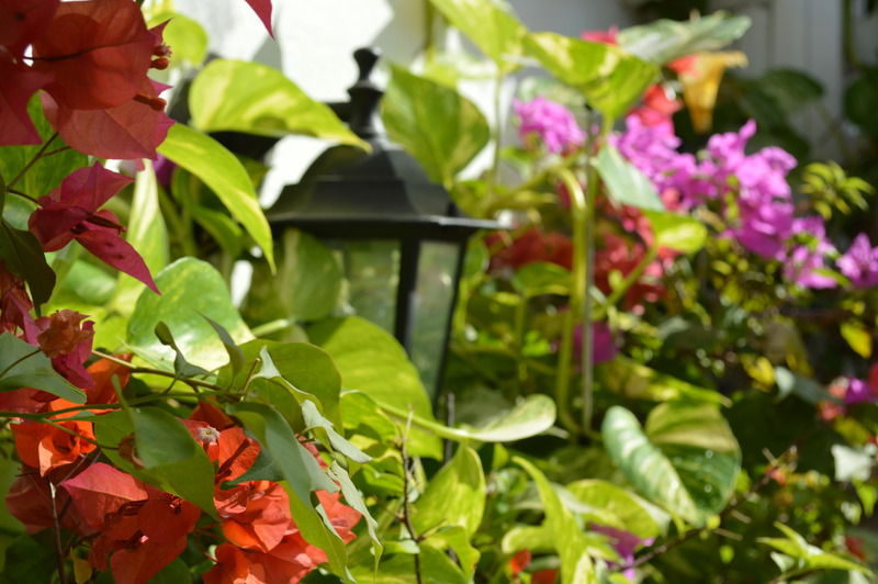 Hotel Casa Mary Cartagena Exterior foto